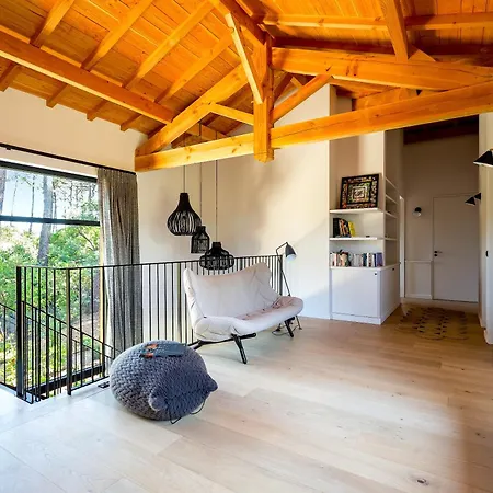 Villa Mimosas Lege-Cap-Ferret